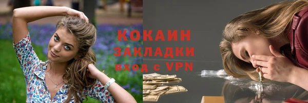 индика Абинск