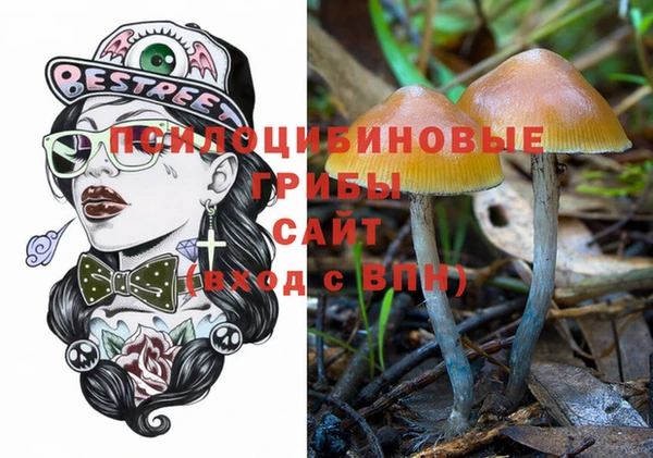 индика Абинск