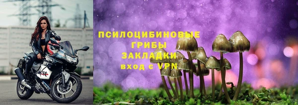 индика Абинск